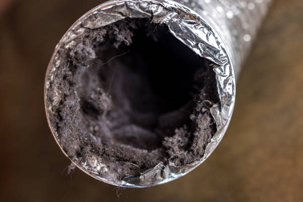 Best Air Duct Cleaning Company Near Me  in Mountain Home, AR